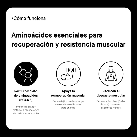 Aminoácidos + Glutamina 384g